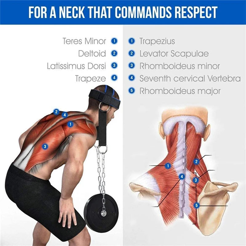 Sangle d'exercice réglable pour la tête et le cou, SFP, capuchon de roulement de poids, renforcement du corps, entraînement musculaire du cou, entraînement de puissance, salle de sport, fitness