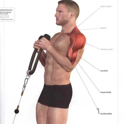 Triceps abaissement corde visage tirer poignées pousser tirer vers le bas cordon pour Biceps dos épaule Triceps Fitness Tension corde accessoire de gymnastique