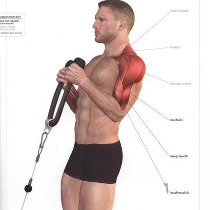 Triceps abaissement corde visage tirer poignées pousser tirer vers le bas cordon pour Biceps dos épaule Triceps Fitness Tension corde accessoire de gymnastique