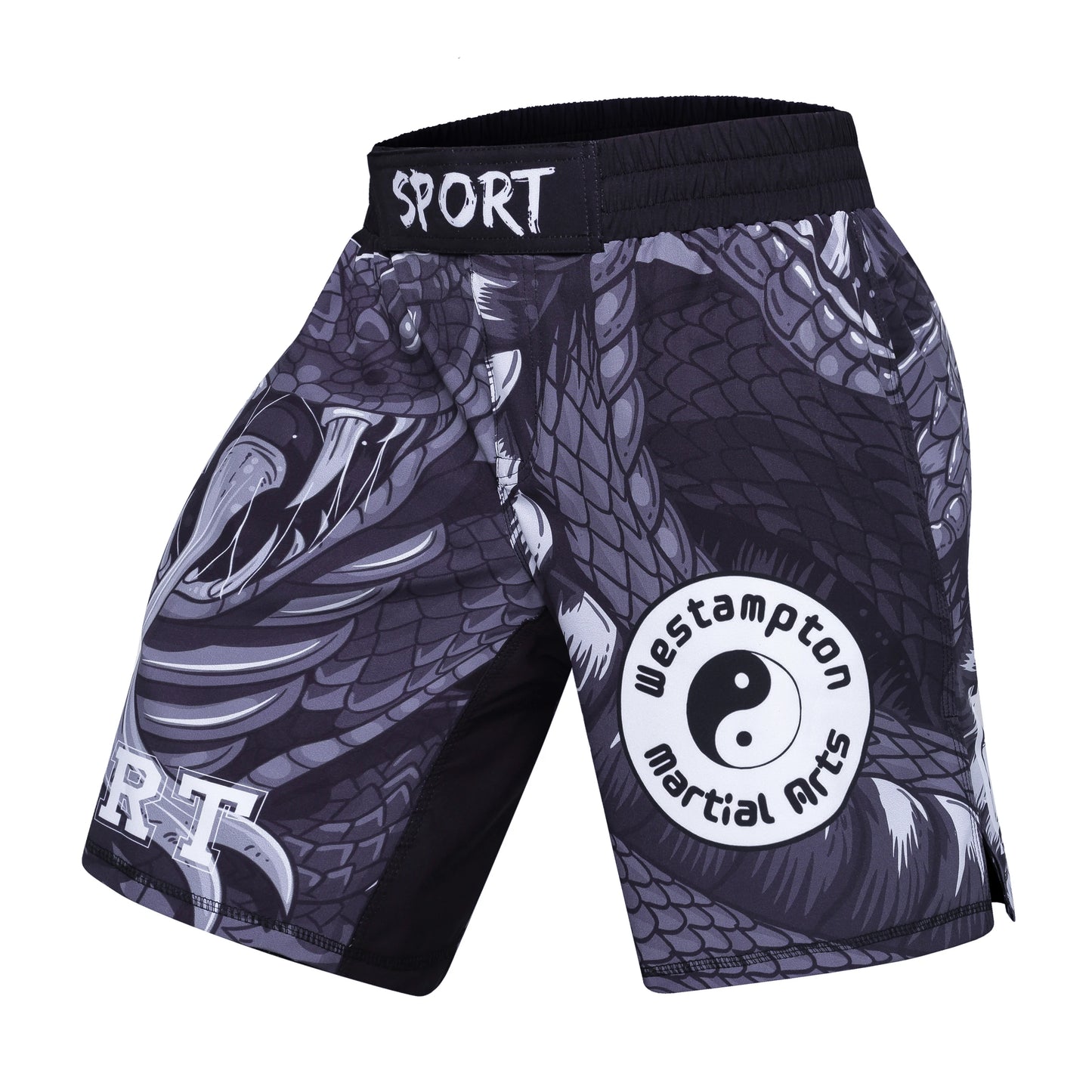 Short Entraînement Boxe | Sublimation imprimée Homme MMA Combat BJJ Grappling Muay Thai Kickboxing | Accessoires C