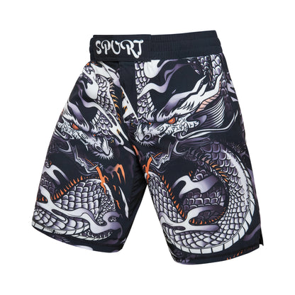 Short Entraînement Boxe | Sublimation imprimée Homme MMA Combat BJJ Grappling Muay Thai Kickboxing | Accessoires C