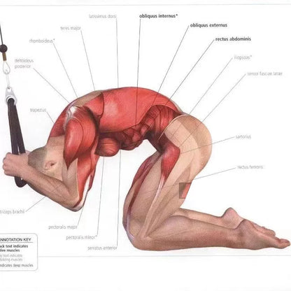 Triceps abaissement corde visage tirer poignées pousser tirer vers le bas cordon pour Biceps dos épaule Triceps Fitness Tension corde accessoire de gymnastique